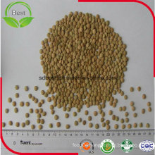 Chinese Origion Fresh Green Lentils